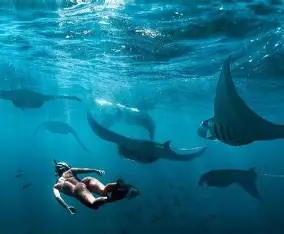Snorkeling Nusa Penida